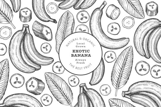 Hand drawn sketch style banana banner. Organic fresh fruit vector illustration. Retro exotic fruit design template