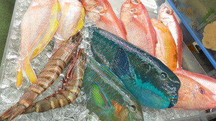沖縄　牧志公設市場　魚屋