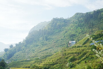 Obraz premium Amazing Rice Paddy or Rice Field in hidden Mountain, Sapa, Vietnam - ベトナム サパ 棚田