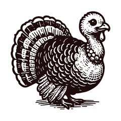 Fototapeta na wymiar cute turkey vector sketch