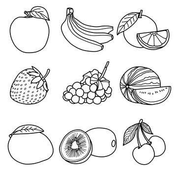 Vector illustration of tropical fruits hand drawn sketch, various fruit line art, Containing apple, banana, orange, strawberry, grapes, watermelon, mango, kiwi and cherry isolated on white background