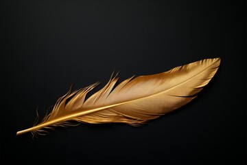 A golden feather graces a black backdrop, a chic template