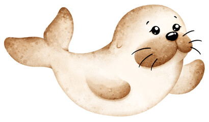 Fototapeta premium sea lion