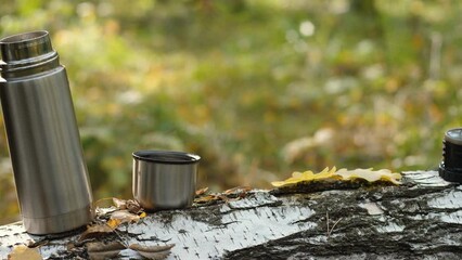 Thermos stands on a tree. Autumn walk with warm tea outside. The concept of atmospheric autumn and warm autumn days.