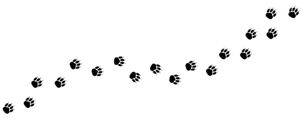 Shaggy dog or puppy path foot prints. Dog paws diagonal track, silhouette. Walking Shepherd, Retriever, Spitz, Chow Chow, Chihuahua, Labrador, Terrier, Beagle, Collie. Dog steps. Vector isolated. Pet.
