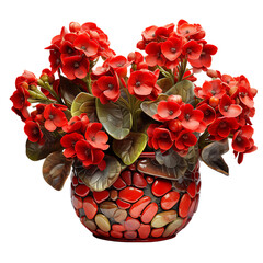 Kalanchoe with Red Flowers in a Terrazzo Pot Isolated on Transparent or White Background, PNG