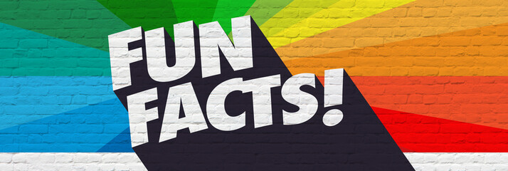 Fun facts on bricks background