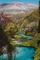 Blue eye water spring in Albania mountains and turquoise river landscape blooming trees nature travel Balkans beautiful destinations - obrazy, fototapety, plakaty