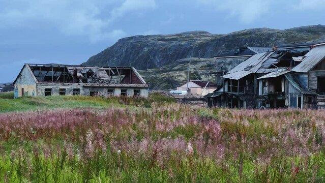 Abandoned dilapidated old house, Teriberka, Murmansk region. An old dilapidated wooden house with broken windows on a background of rocks and blooming flowers and grass. 4K