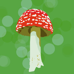 Mushroom on a green background