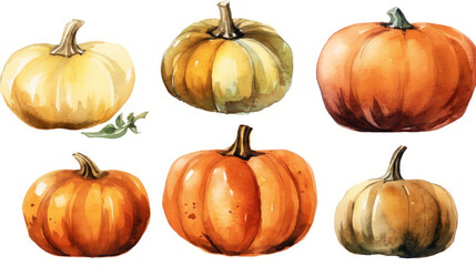 Watercolor painting of a pumpkins in brown color tone.