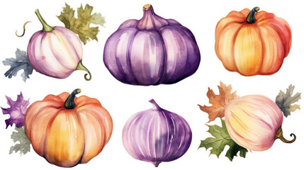 Watercolor painting of a pumpkins in violet color tone.