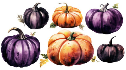 Watercolor painting of a pumpkins in dark purple color tone.