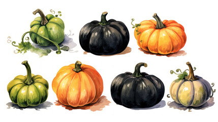 Watercolor painting of a pumpkins in light black color tone.