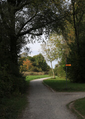 Gravel road with junction and trees in autumn.