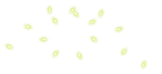 Lime christmas glowing garland. Christmas lights. Colorful Christmas garland. The light bulbs on the wires are insulated. PNG.