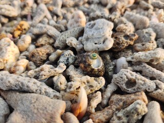 Beautiful sea with sea sand and sea rock syones