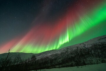 Rare red northern lights, Red Aurora Borealis. High quality photo - 661848209