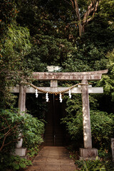 Fototapeta na wymiar traditional japanese torii gate