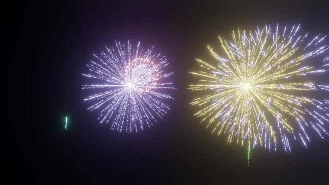 Colourful fireworks are glowing in black background 3D render