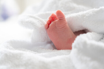 Soft white towel's secret: baby foot peeking post bath