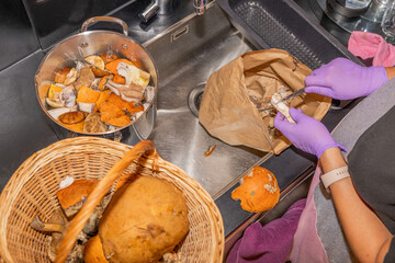 Close up view of female hands in rubber gloves cleaning mushrooms in kitchen sink.