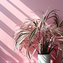Shadow of palm leaves on pink wall with a beautifu