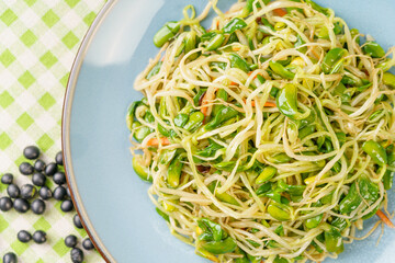 Korean bean sprouts on a green and fresh background