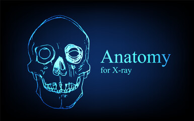 Human anatomy in front on x ray view. Anatomy human body connection, Medical, educational or science banner on futuristic blue background, Vector hand drawn illustration