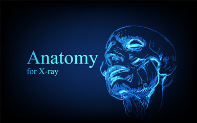 Human anatomy in front on x ray view. Anatomy human body connection, Medical, educational or science banner on futuristic blue background, Vector hand drawn illustration