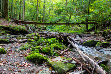 Hörschbachwasserfälle Murrhardt Baden-Württemberg Germany in Fall 2023