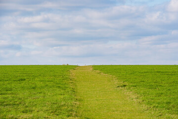 field and blue sky