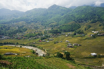 Fototapeta na wymiar Amazing Rice Paddy or Rice Field in Muong Hoa Valley or Thung Lung Muong Hoa, Sapa, Vietnam - ベトナム サパ 棚田 