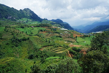 Fototapeta na wymiar Amazing Rice Paddy or Rice Field in Muong Hoa Valley or Thung Lung Muong Hoa, Sapa, Vietnam - ベトナム サパ 棚田 