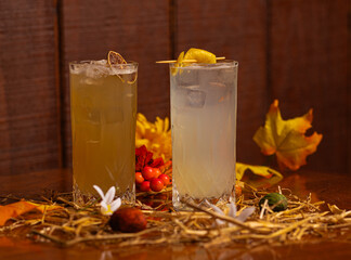 Irish Mule, Autumn Fizz.