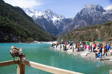 glacier national park,中国,麗江 - obrazy, fototapety, plakaty