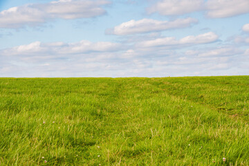 green field and blue sky
