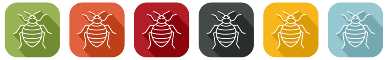 Group of coloured bedbug icons