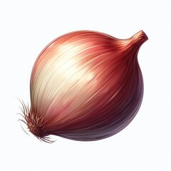 onion isolated on white - obrazy, fototapety, plakaty