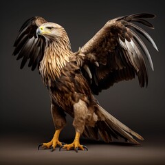 Obraz premium a bald eagle flying in the sky American Eagle is flying gracefully on a White background. Study Learning Education Children School Books Homework Classroom Reading Writing