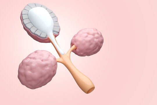 breast alveoli and milk production on pink background, for woman health care or breast disease concept. 3D rendering.