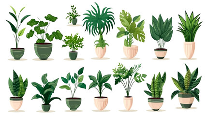 Discover a variety of home greenery with our houseplant collection, featuring unique plant forms and greenery selections to enhance your interior decor. - obrazy, fototapety, plakaty