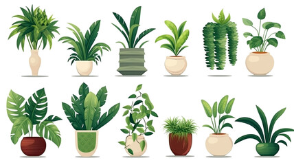 Immerse yourself in a showcase of houseplant shapes, featuring a diverse collection of indoor plants to enhance your interior decor.