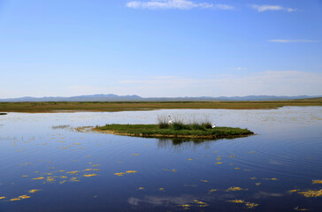 Lake landscape in the Mongolian steppe
