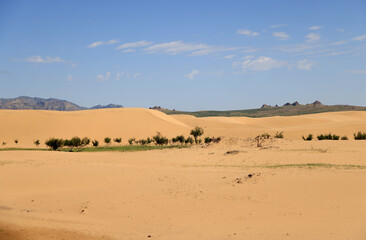 The beautiful dunes of the Elsen Tasarkhai desert, Mongolia