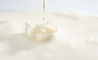 Fototapeta na wymiar Close up splash cow milk