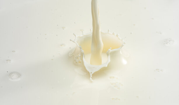 Close up splash cow milk