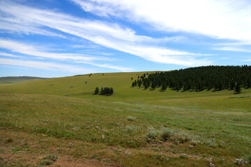 Obraz premium The lush valley of Tsenkher, Mongolia