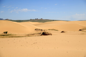 Fototapeta na wymiar The beautiful dunes of the Elsen Tasarkhai desert, Mongolia