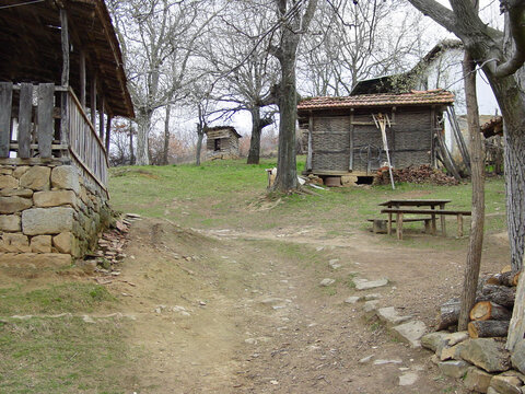 Farm, forest and a wood cabin on a path in Kosovo during 1999 after conflict during war or battle. Agriculture, sustainability and village with a house or barn in the woods on a nature landscape